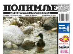 Јун 2013. године. Штампана издања Полимља