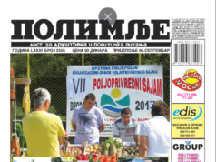 Септембар 2013. године. Штампана издања Полимаља