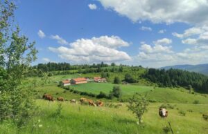 МЗ Бабине: „А БИЛО ЉУДИ КО ДА ЈЕ ВАШАР“