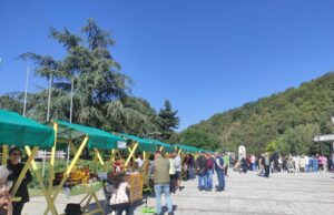 Ове суботе: „МЕД ЈЕ ЛЕК ЗА ДУГ ВЕК“