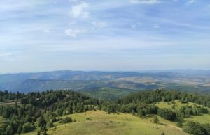 Овог лета на падинама Јадовника: ПУСТО БЛАГО СРБИЈЕ