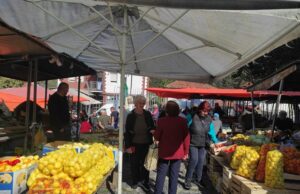 Zimnica: VISOKE CENE ZBOG SUŠE