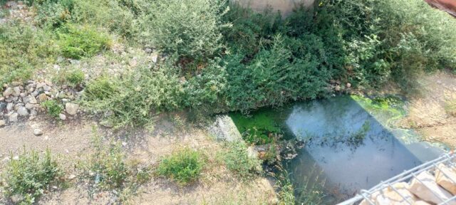 „ДА ОДРЖИВО БУДЕ ИЗДРЖИВО“:СМРДИ ЛИ, СМРДИ