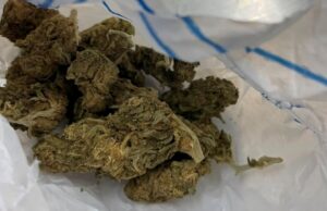 PU U PRIJEPOLJU:PRONAĐEN KILOGRAM DROGE U KUĆI NADOMAK GRADA