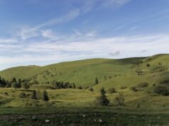 Представљање појилишта за заштићене врсте дивљих животиња на Јадовнику