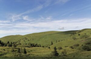 Представљање појилишта за заштићене врсте дивљих животиња на Јадовнику