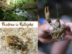 Područje reke Ratajske: Od prijava i peticija do zaštite i turističkog potencijala