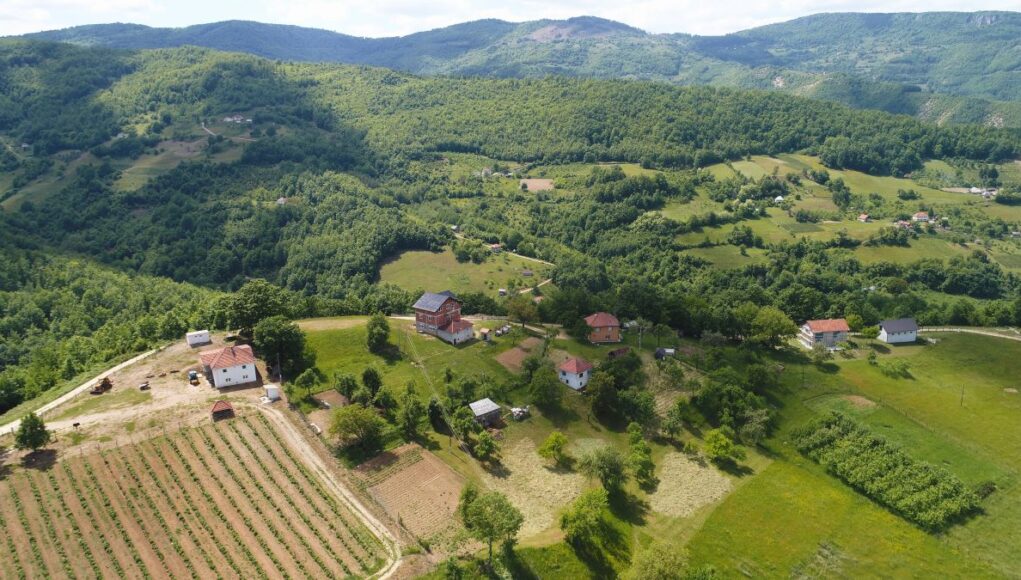 Naslovna
