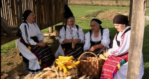 КОМИШАЊЕ КУКУРУЗА – МОБА