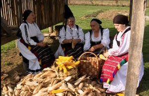 КОМИШАЊЕ КУКУРУЗА – МОБА